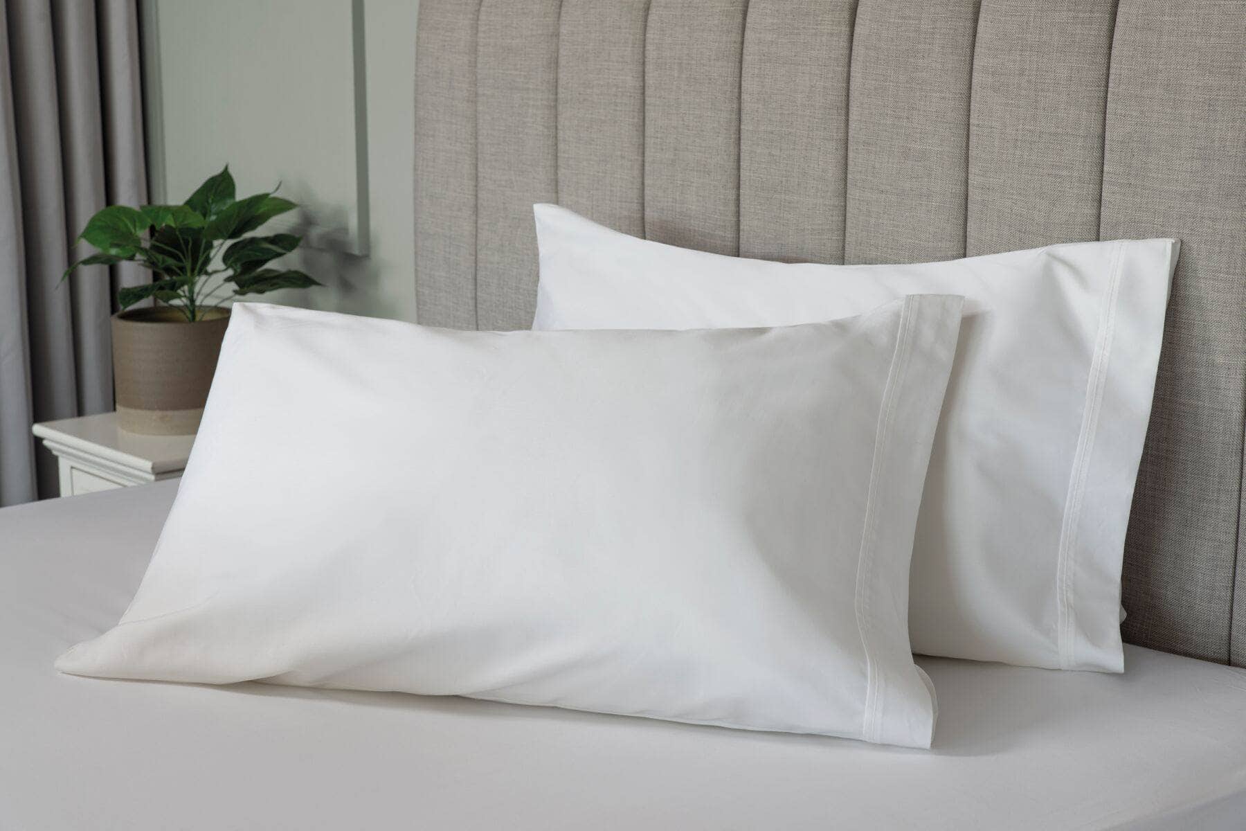 Premium Blend 500 Count Pillowcase Pair - Ivory