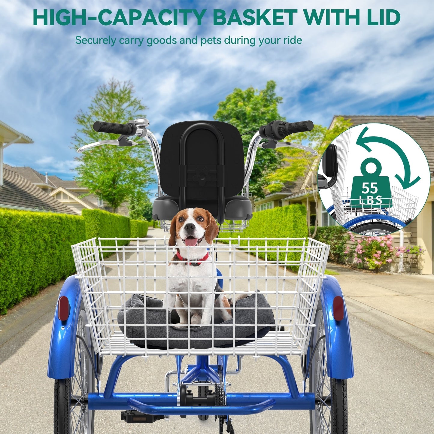 Vélos tricycle 3 roues pour adultes 26 pouces, 7 vitesses