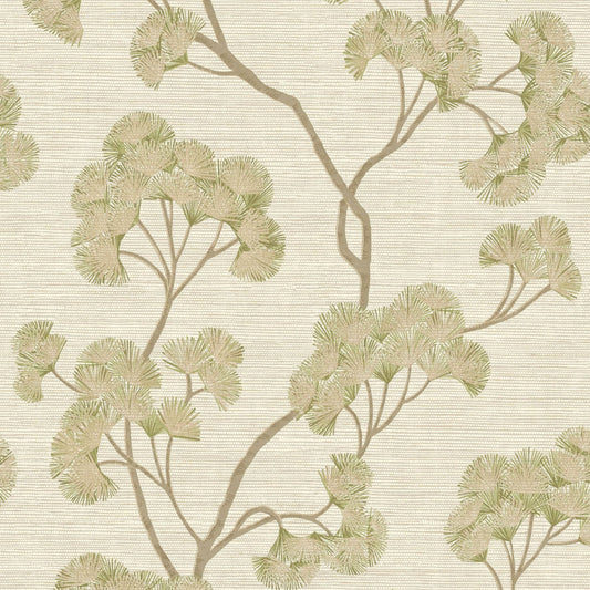 Rasch Sample - 316032