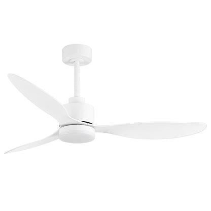 Ventilateur de plafond LED 52 pouces avec éclairage et télécommande (3 pales)