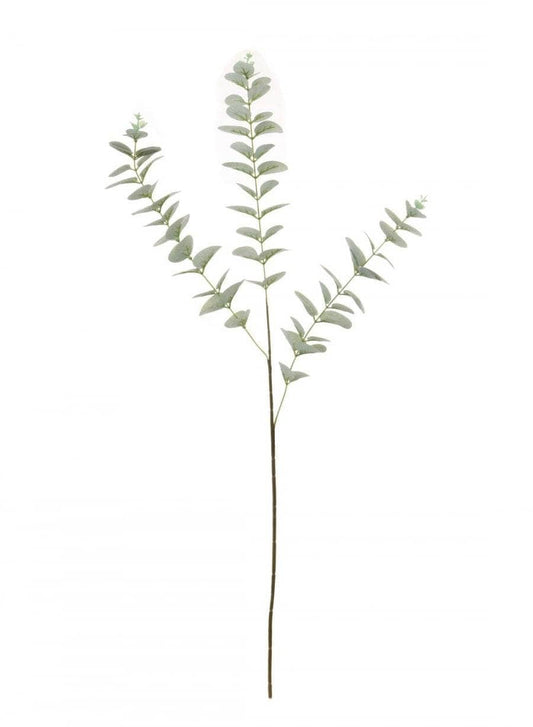 Printed Eucalyptus Leaf Stem - Natural Green