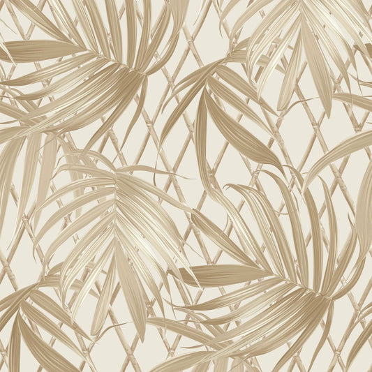 Rasch Sample - 539578