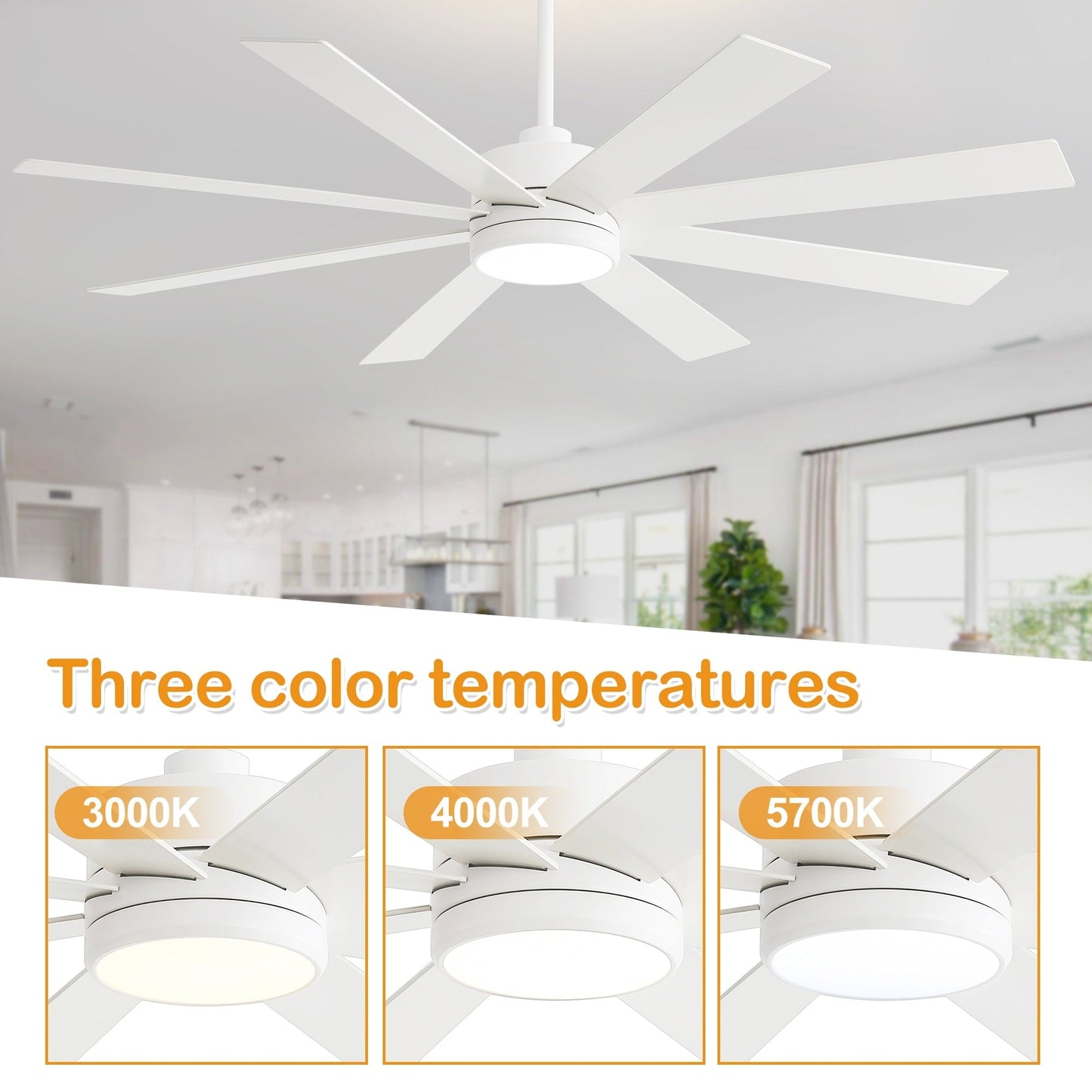 Ventilateur de plafond à LED noir à 8 pales de 65 pouces avec lumière et télécommande