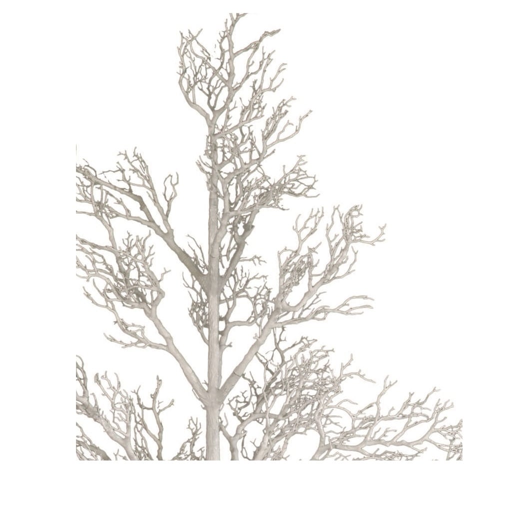 96 Branche de bois mort d'arbre