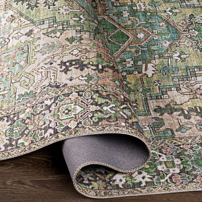 Livabliss Adenia Vintage Medallion Printed Area Rug