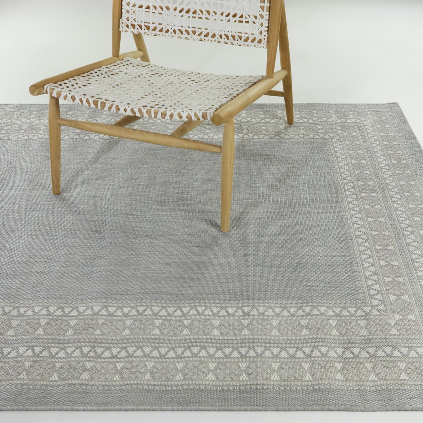 Carew Transitional Border Indoor/Outdoor Area Rug