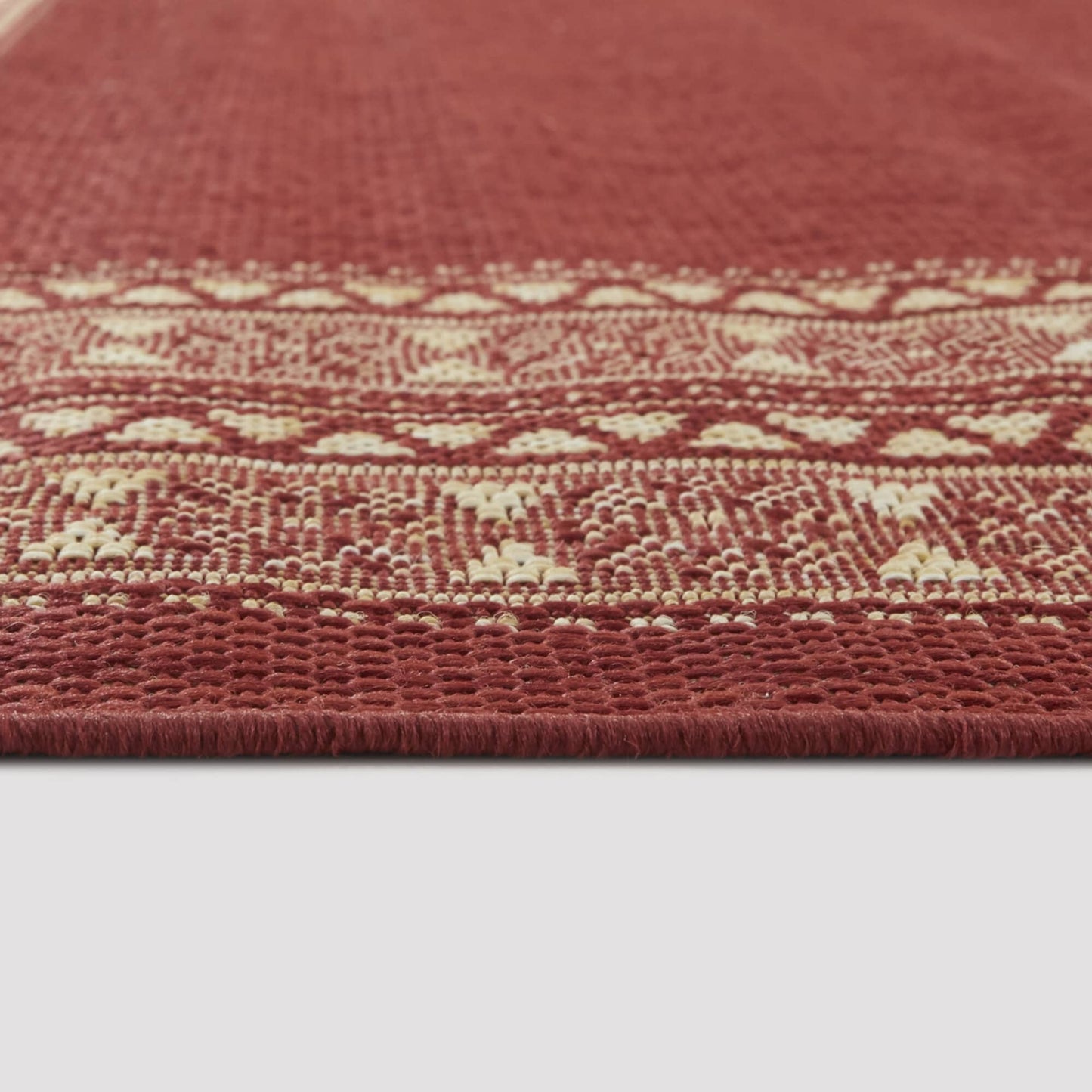 Carew Transitional Border Indoor/Outdoor Area Rug