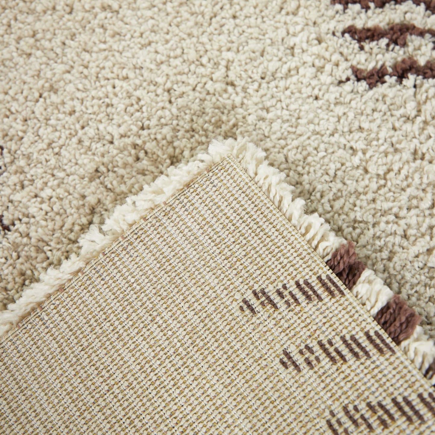 Carson Shag Area Rug