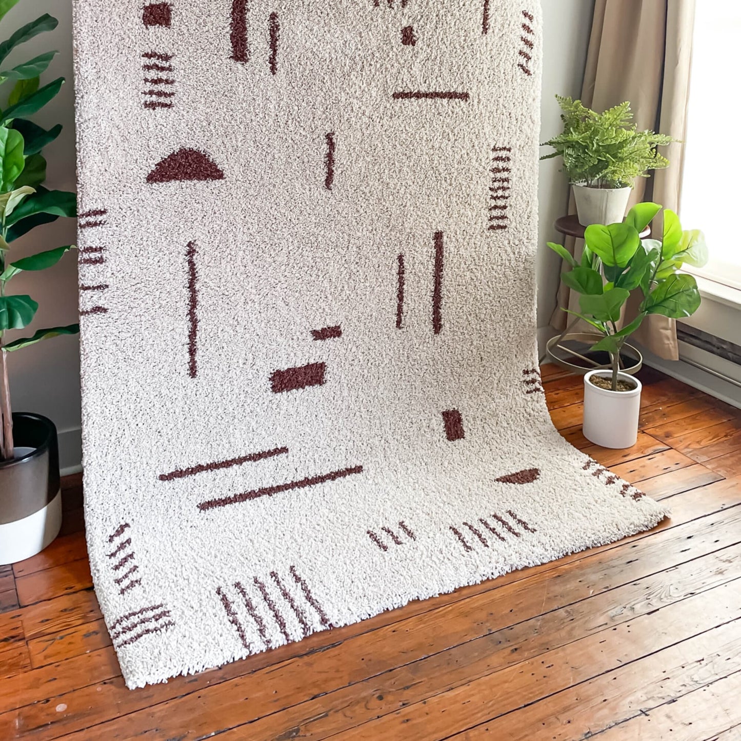 Carson Shag Area Rug
