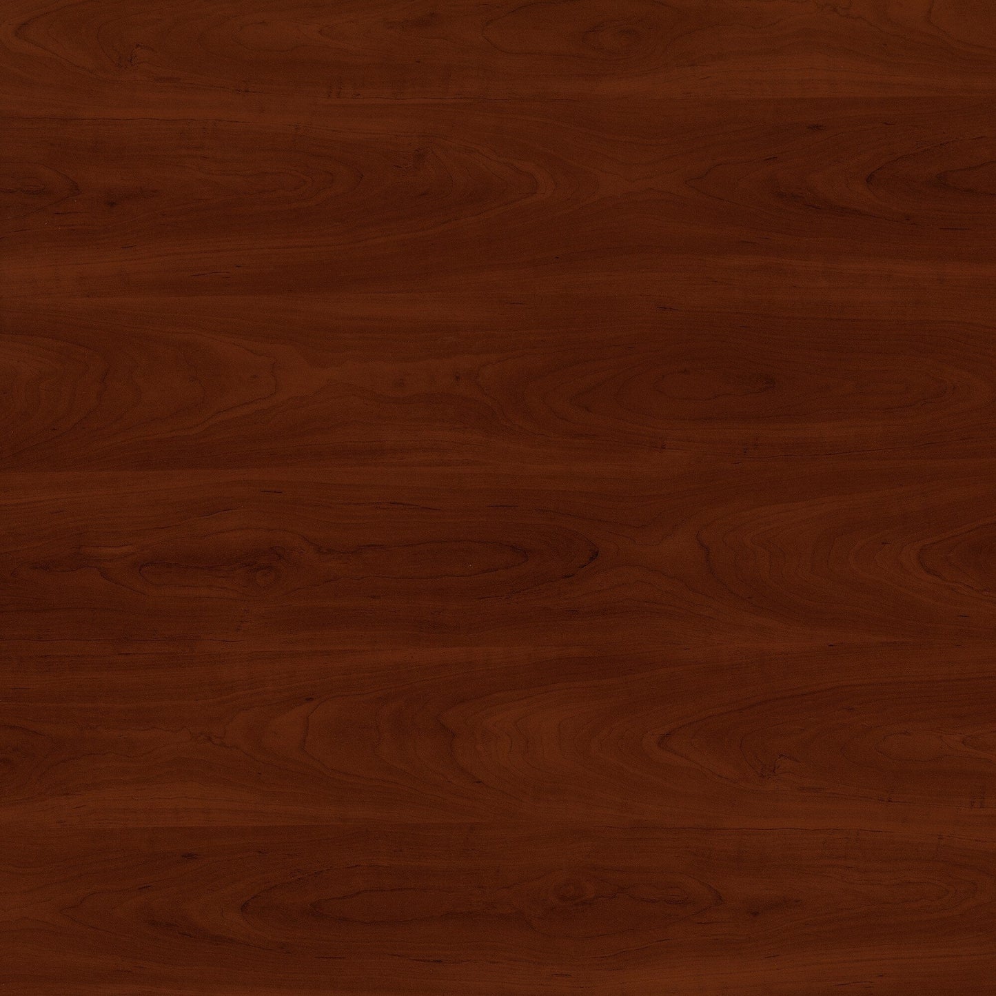 Armoire de rangement Fairview avec portes et étagères de Bush Furniture - 80,6 cm L x 32,4 cm l x 78 cm H