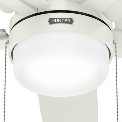 Ventilateur de plafond Hunter 52 Anisten à profil bas avec éclairage LED et cordon d'actionnement - Style moderne, contemporain, transitionnel