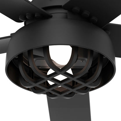 Ventilateur de plafond Hunter 52 Autumn Breeze II, intérieur/extérieur, avec éclairage LED et télécommande - Style industriel, transitionnel, moderne, cage.