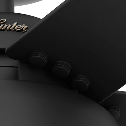 Ventilateur de plafond Hunter 52 Autumn Breeze II, intérieur/extérieur, avec éclairage LED et télécommande - Style industriel, transitionnel, moderne, cage.