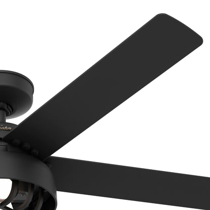 Ventilateur de plafond Hunter 52 Autumn Breeze II, intérieur/extérieur, avec éclairage LED et télécommande - Style industriel, transitionnel, moderne, cage.