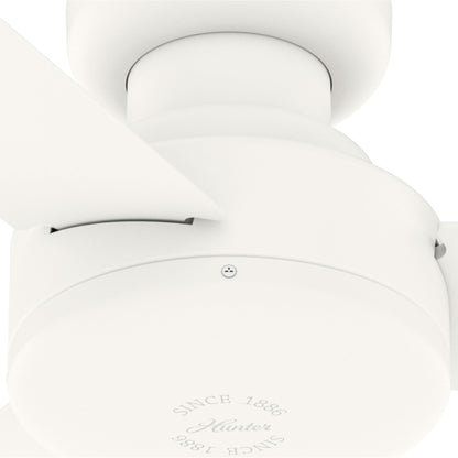 Pergola Gazebo d'extérieur en acier de 3m x 4m, auvent de patio avec trous de drainage pour jardin, terrasse de piscine, cour arrière