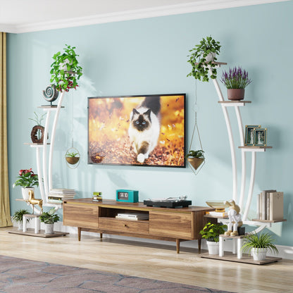 Support pour plantes d'intérieur, étagère à fleurs à 6 niveaux pour jardin à domicile - Lot de 2