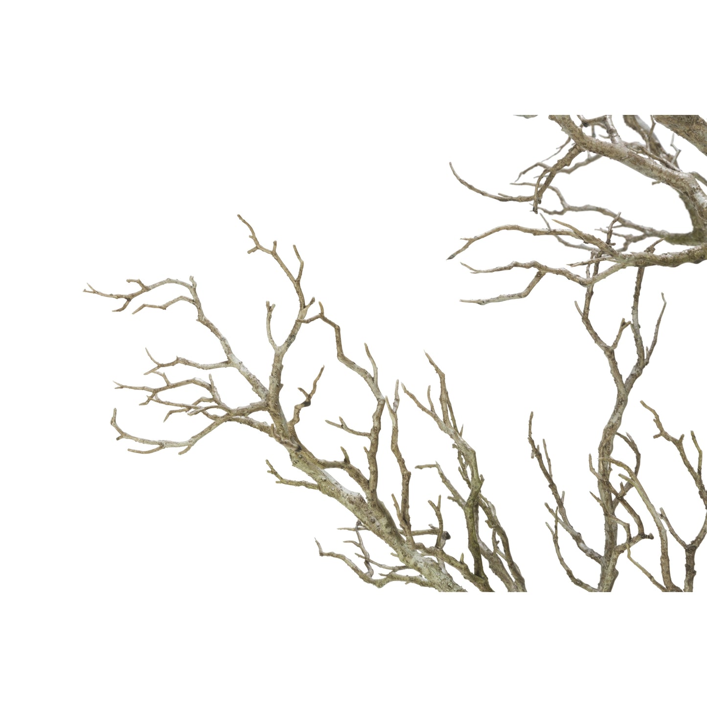 96 Branche de bois mort d'arbre