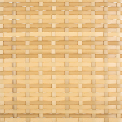 SAFAVIEH Fauteuil de jardin en osier Taniyah avec coussins - 135L x 71P x 157H (cm)