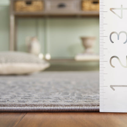 SAFAVIEH Reflection Elzada Oriental Rug