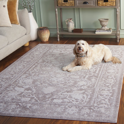 SAFAVIEH Reflection Eulalie Modern Oriental Rug