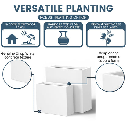 Grandes jardineries rectangulaires en béton / Grandes jardineries pour fleurs, pour intérieur et extérieur