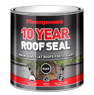 Thompson's  Roof Seal Black 4L