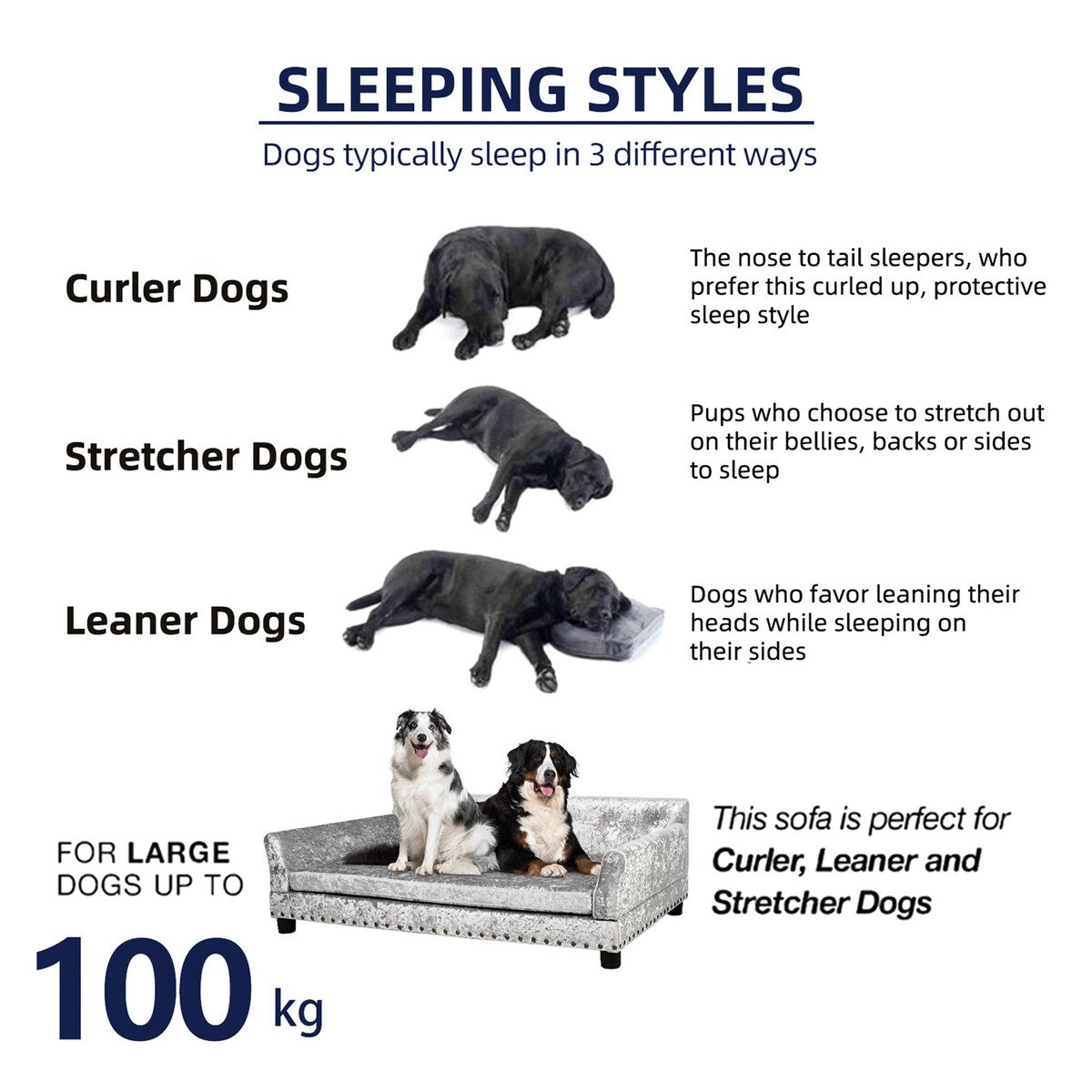 Lit pour animaux de compagnie en forme de canapé en velours capitonné, recouvert de tissu et doté d'un coussin amovible.