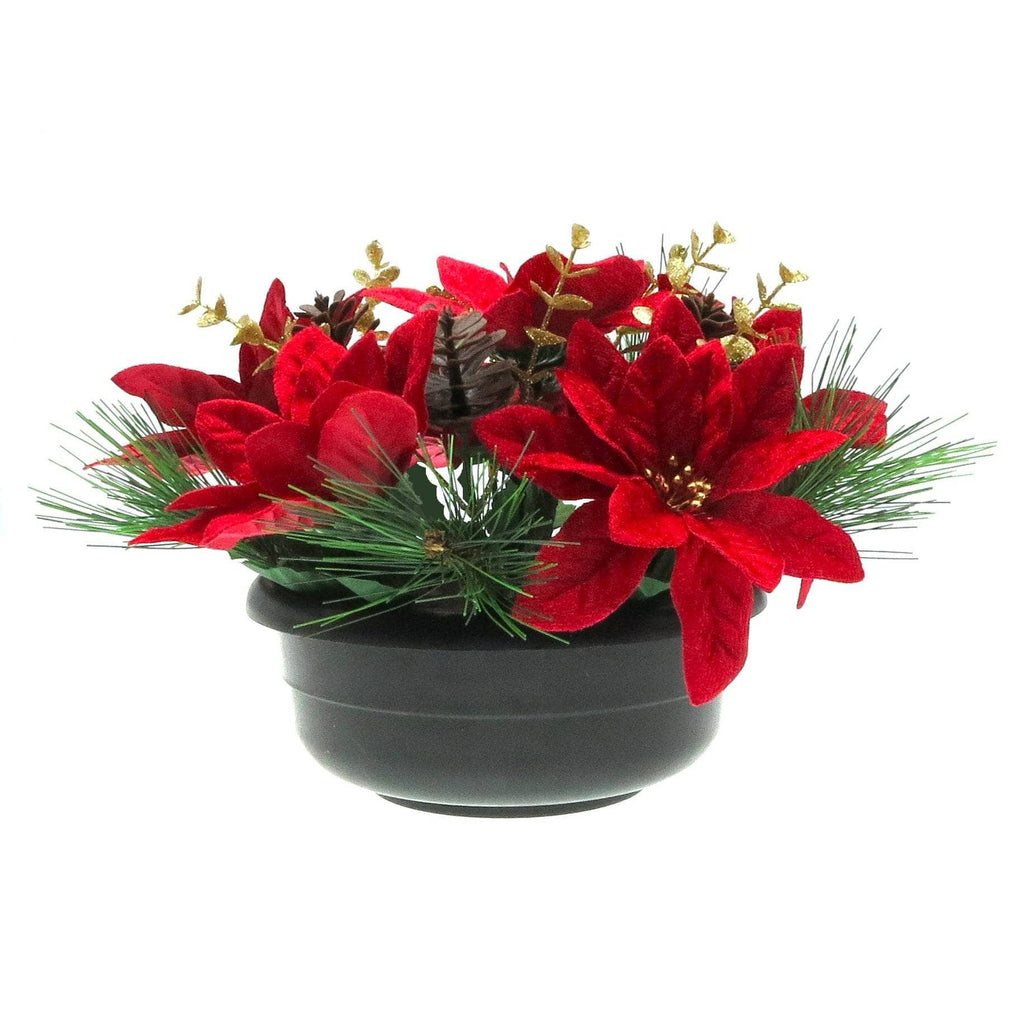 Potted Red Poinsettia & Eucalyptus Plant - 24 x 16cm