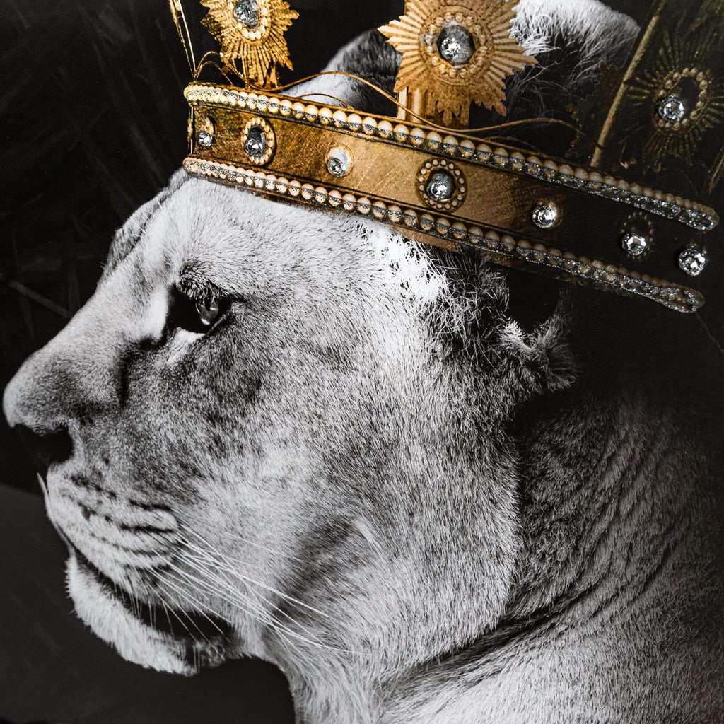 Lion And Lioness Picture And Frame