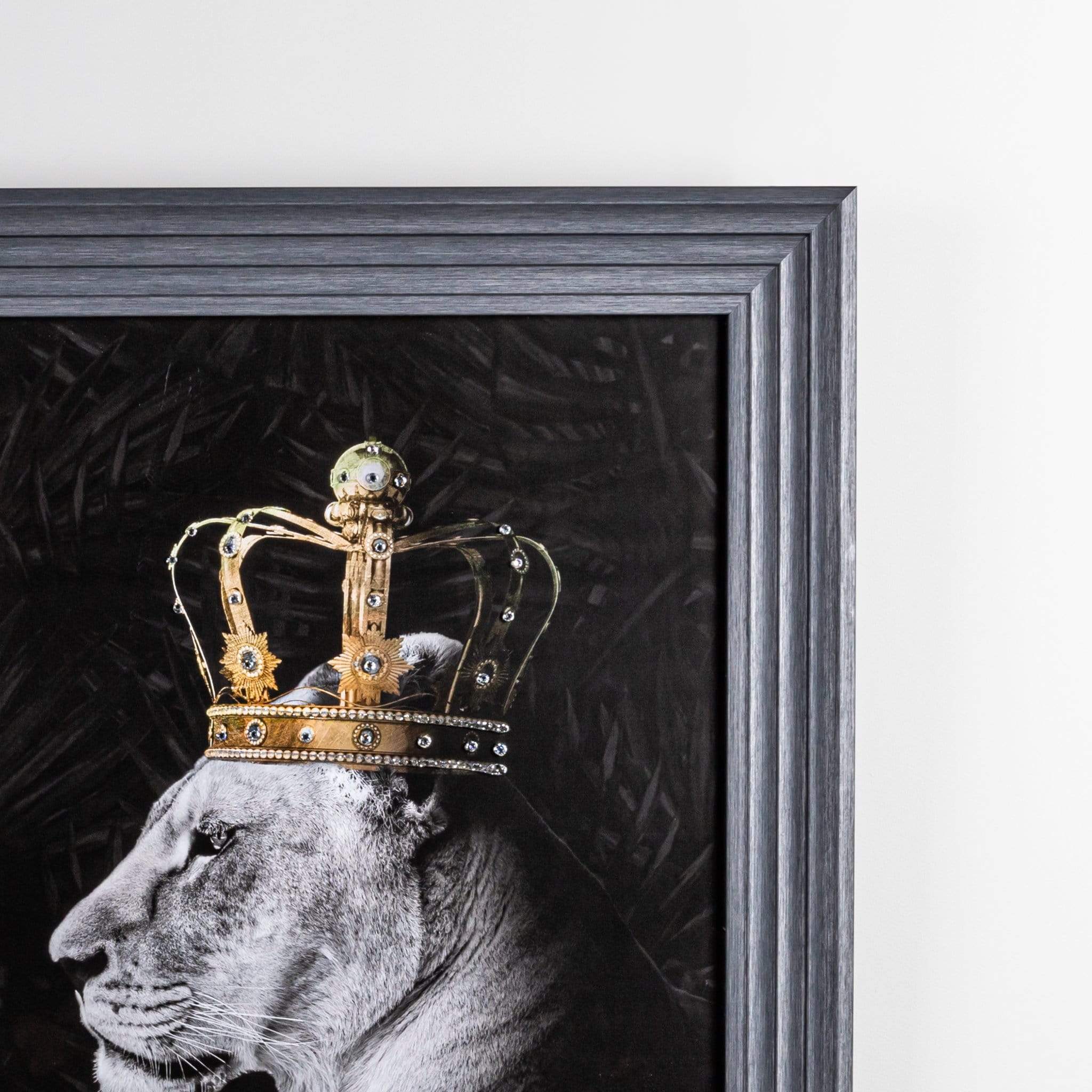 Lion And Lioness Picture And Frame