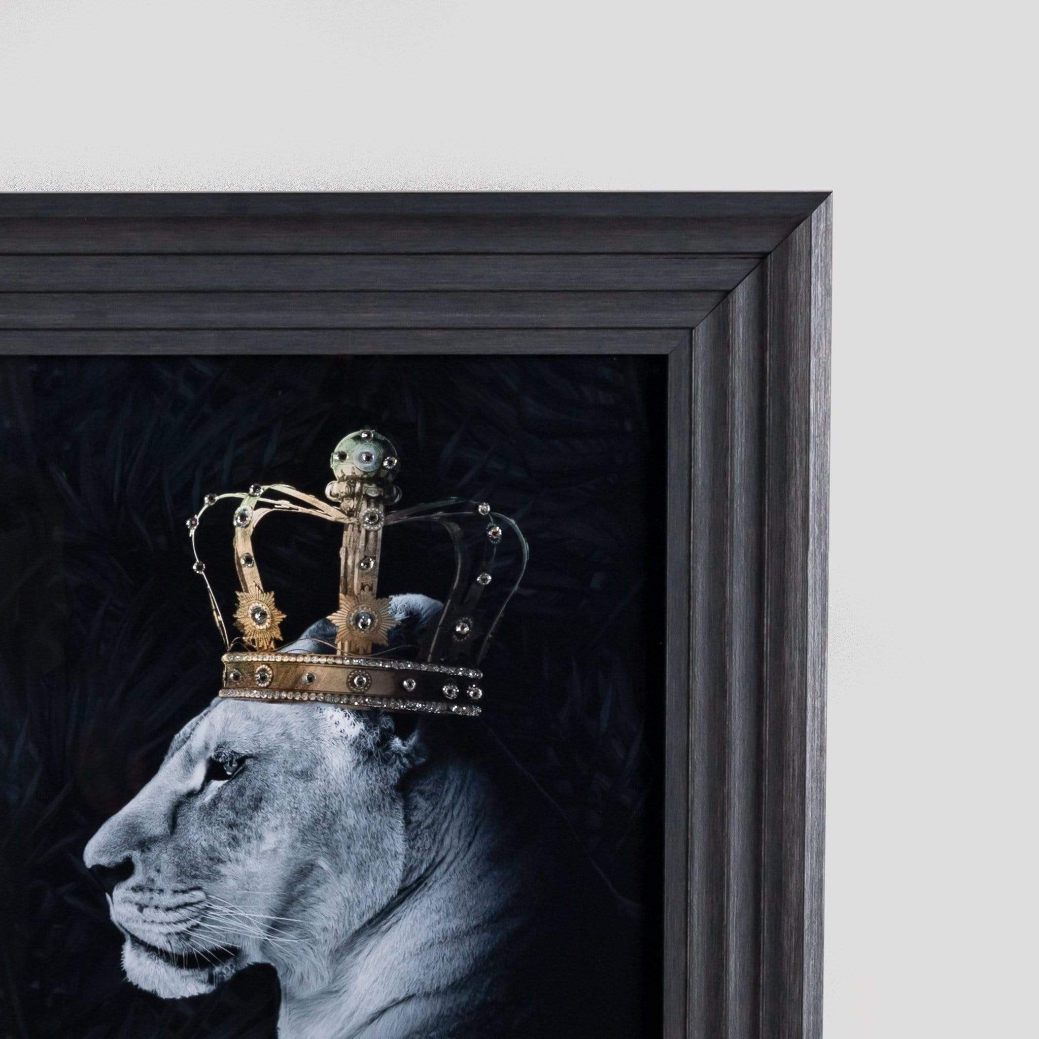 Lion Queen Small Framed Picture 55 x 55cm