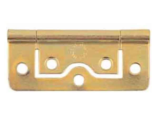 Select Flush Hinges Electro Brass 50Mm
