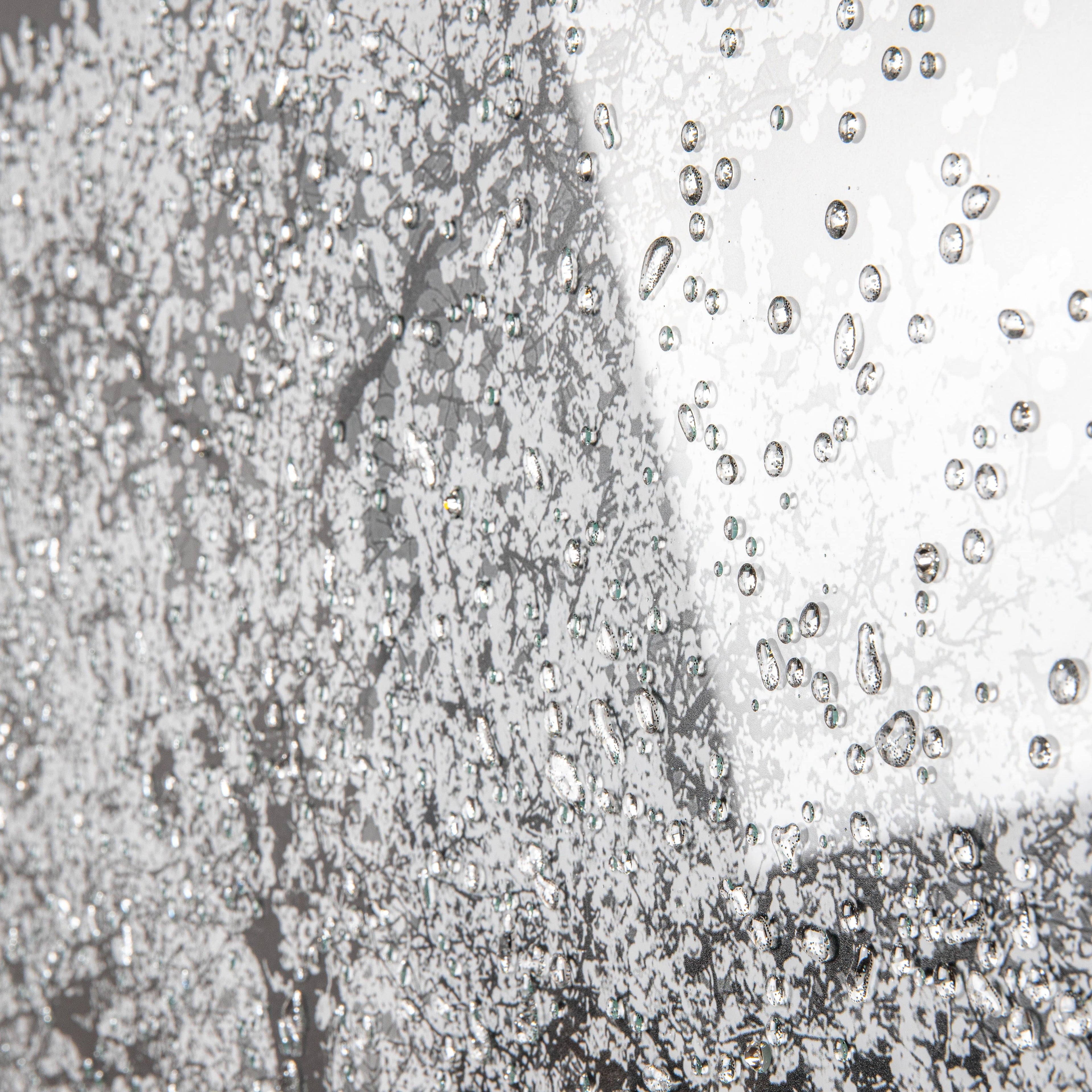 Shh White Cherry Tree Framed Picture 114 X 74